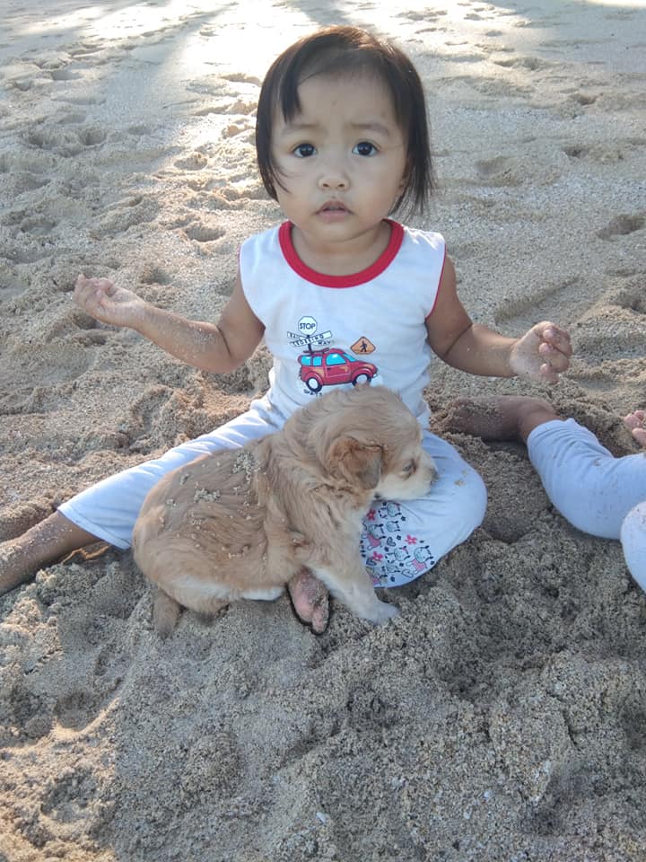 a kid and her dog at saud beach